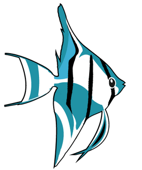 Coachella Valley Aquatics