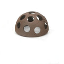 Coachella Valley Aquatics Shrimp Cave