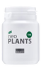 Coachella Valley Aquatics Supply Aquario Neo Plants Tab Aquario Neo Plants Tab