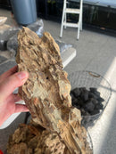 Coachella Valley Aquatics Ohko Dragon Stone
