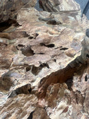 Coachella Valley Aquatics Ohko Dragon Stone