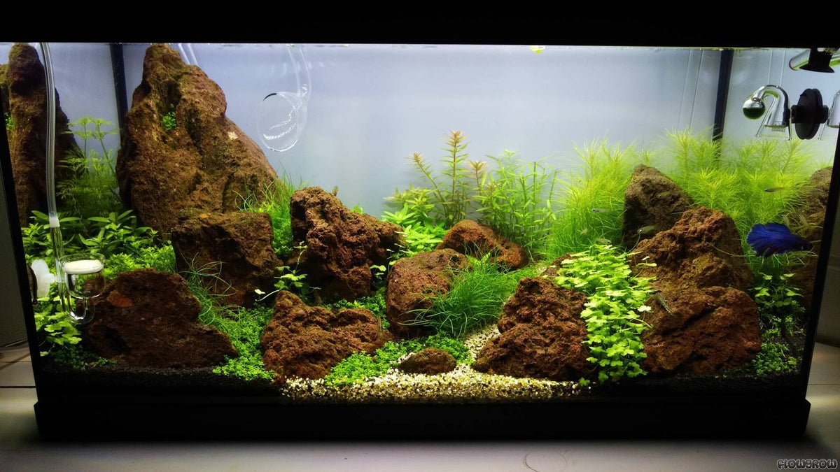 4 Liters Red Lava Rock – 1/2 To 2 Inch – Aquarium Plant Substrate & Aquascape