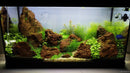 Coachella Valley Aquatics Red Lava Rock Red Lava Rock - CV Aquatics