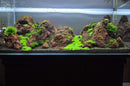 Coachella Valley Aquatics Red Lava Rock Red Lava Rock - CV Aquatics