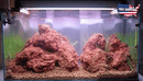 Coachella Valley Aquatics Red Lava Rock Red Lava Rock - CV Aquatics