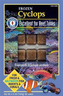 Coachella Valley Aquatics San Francisco Bay Brand FROZEN Cyclops